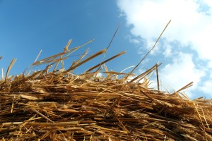 straw hay and blue sky